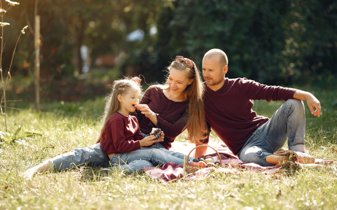 Metas financeiras x Roda da Vida: quando dinheiro volta a ser meio